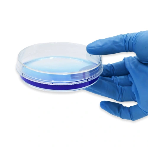 Different Sizes Plastic Petri Dishes For Growing Bacteria (1).jpg